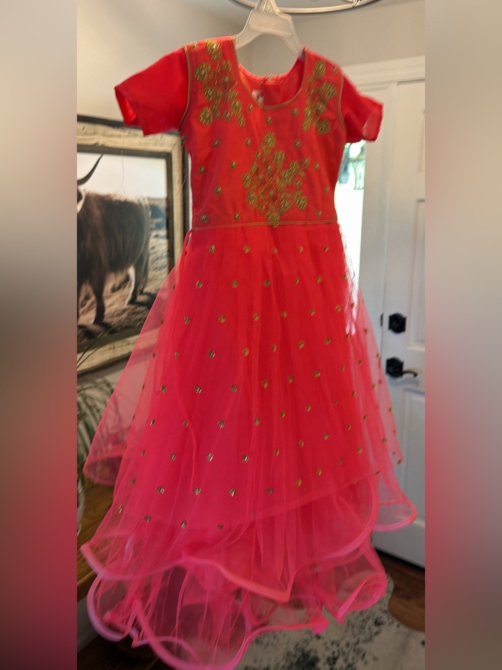 Girls Red Embellished Tulle Costume Dress